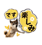 にこのスタンプの巻（個別スタンプ：20）
