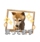 にこのスタンプの巻（個別スタンプ：21）