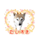 にこのスタンプの巻（個別スタンプ：32）