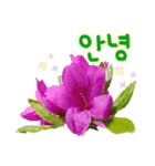 韓国語＆日本語色んなお花（個別スタンプ：9）