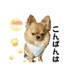 れおすけスタンプver.2（個別スタンプ：2）