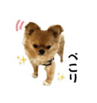 れおすけスタンプver.2（個別スタンプ：4）