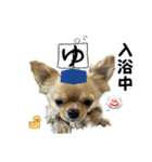 れおすけスタンプver.2（個別スタンプ：21）