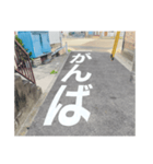 道路で伝える（個別スタンプ：3）