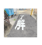 道路で伝える（個別スタンプ：5）