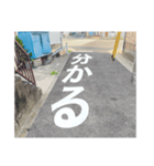 道路で伝える（個別スタンプ：10）