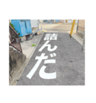 道路で伝える（個別スタンプ：12）