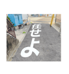 道路で伝える（個別スタンプ：14）