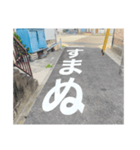 道路で伝える（個別スタンプ：16）