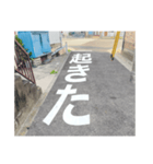 道路で伝える（個別スタンプ：19）