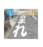 道路で伝える（個別スタンプ：21）