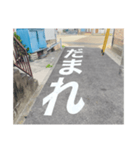 道路で伝える（個別スタンプ：23）