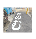 道路で伝える（個別スタンプ：30）