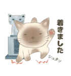 しゃむねこったい_敬語ver（個別スタンプ：28）