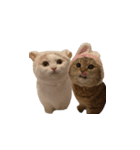 にぼしらといっしょ（個別スタンプ：18）