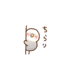 インコの敬語（個別スタンプ：21）