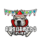 ビーグル犬(日常会話)（個別スタンプ：1）