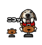 ビーグル犬(日常会話)（個別スタンプ：3）