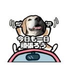 ビーグル犬(日常会話)（個別スタンプ：6）