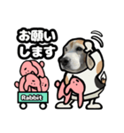 ビーグル犬(日常会話)（個別スタンプ：13）