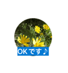 風にそよぐ花に、挨拶言葉に添えて届けよう（個別スタンプ：9）