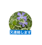 風にそよぐ花に、挨拶言葉に添えて届けよう（個別スタンプ：11）