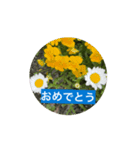 風にそよぐ花に、挨拶言葉に添えて届けよう（個別スタンプ：12）