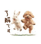 ウサギと子犬プードルのスタンプ（個別スタンプ：16）