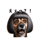 ワンダフル！おかっぱ犬くん（個別スタンプ：10）