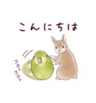 かかぽん☆カカポとウサギ（個別スタンプ：2）