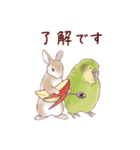 かかぽん☆カカポとウサギ（個別スタンプ：5）