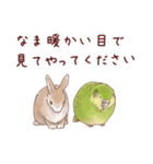 かかぽん☆カカポとウサギ（個別スタンプ：7）