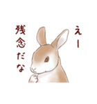 かかぽん☆カカポとウサギ（個別スタンプ：14）