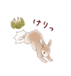 かかぽん☆カカポとウサギ（個別スタンプ：28）