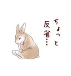 かかぽん☆カカポとウサギ（個別スタンプ：30）