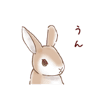 かかぽん☆カカポとウサギ（個別スタンプ：32）