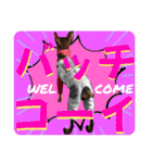 蘭丸先輩9（個別スタンプ：11）