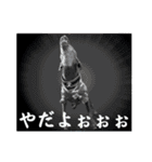 蘭丸先輩9（個別スタンプ：15）