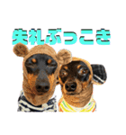 蘭丸先輩9（個別スタンプ：20）