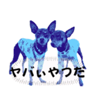 蘭丸先輩9（個別スタンプ：28）