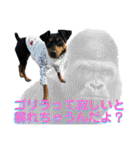 蘭丸先輩9（個別スタンプ：29）