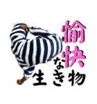 蘭丸先輩9（個別スタンプ：39）