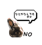 げんまいこだわりLINEスタンプ！（個別スタンプ：2）