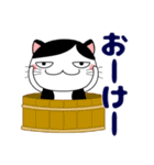 7,3分けのおじさんぶち猫 おやじギャグ（個別スタンプ：3）