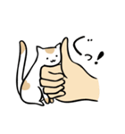 handcat 手と猫の戯れ（個別スタンプ：2）