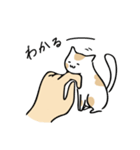 handcat 手と猫の戯れ（個別スタンプ：4）