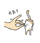 handcat 手と猫の戯れ（個別スタンプ：11）