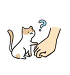 handcat 手と猫の戯れ（個別スタンプ：15）