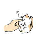 handcat 手と猫の戯れ（個別スタンプ：40）