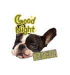 看板犬ぺろの1日（個別スタンプ：2）